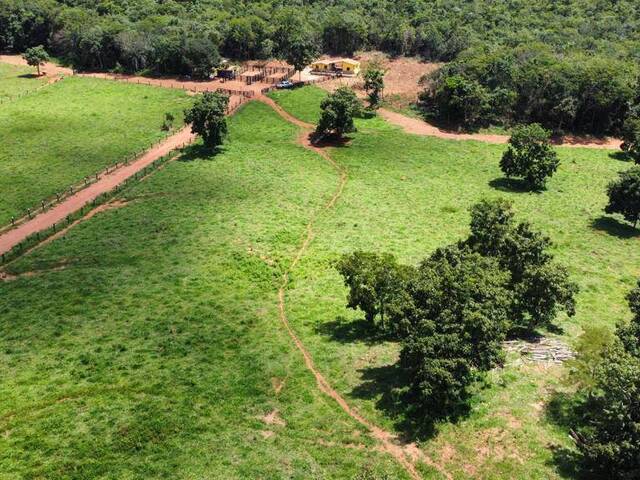 #188 - Fazenda para Venda em Santa Cruz de Goiás - GO