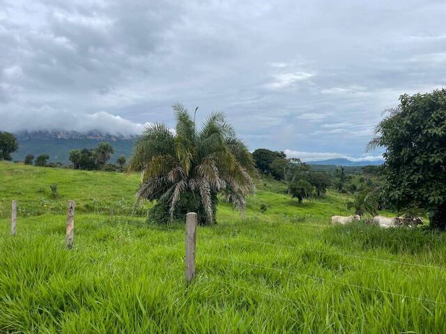 #273 - Fazenda para Venda em Goiás - GO