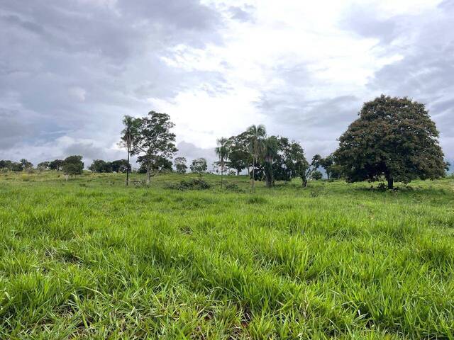 #273 - Fazenda para Venda em Goiás - GO