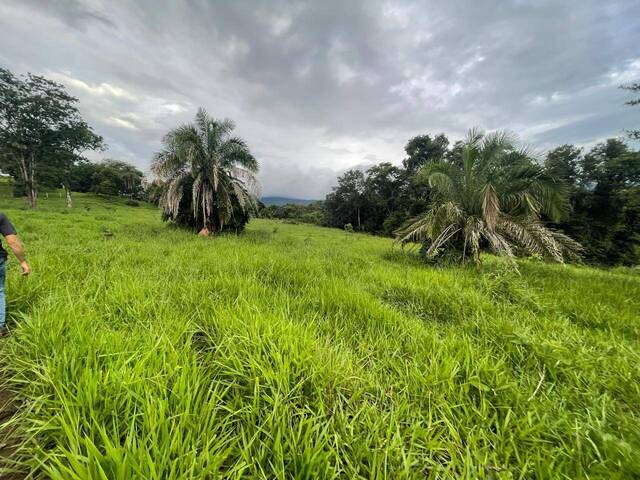 #273 - Fazenda para Venda em Goiás - GO