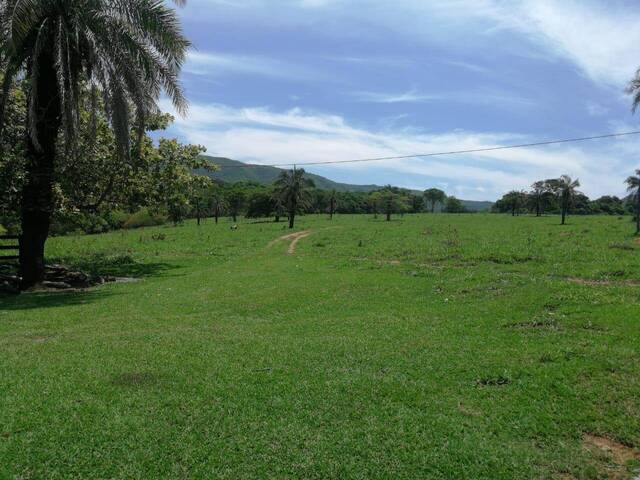 #290 - Fazenda para Venda em Palmeiras de Goiás - GO