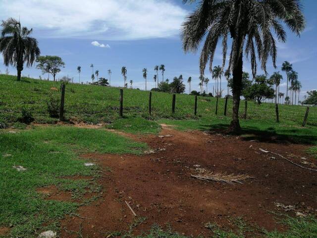 #290 - Fazenda para Venda em Palmeiras de Goiás - GO