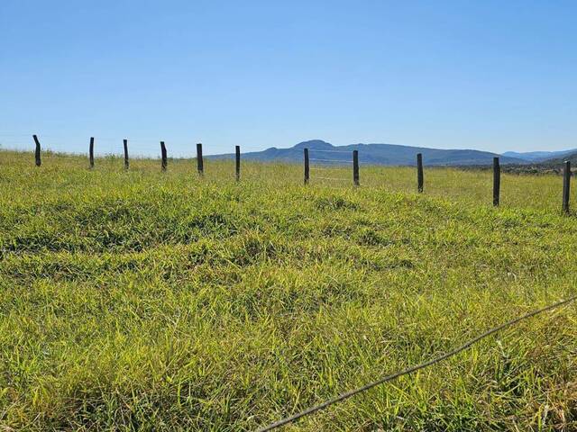 #353 - Fazenda para Venda em Goiás - GO - 2