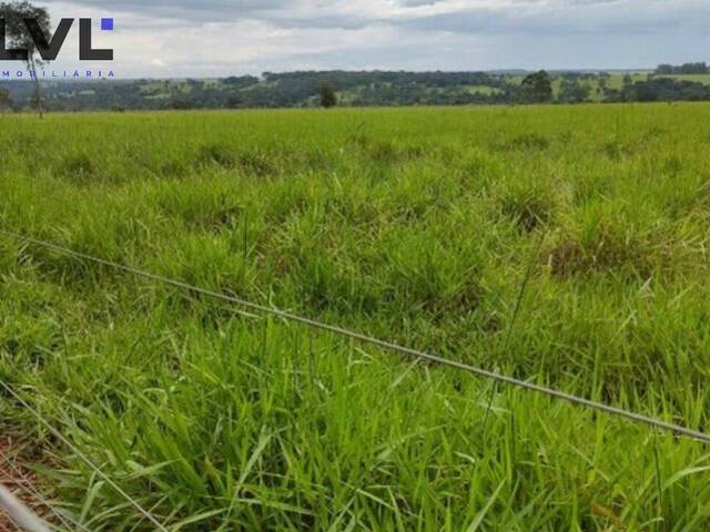 #390 - Chácara para Venda em Bela Vista de Goiás - GO