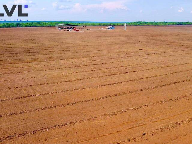 #495 - Fazenda para Venda em Pium - TO - 1
